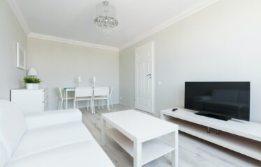 Small contemporary apartment